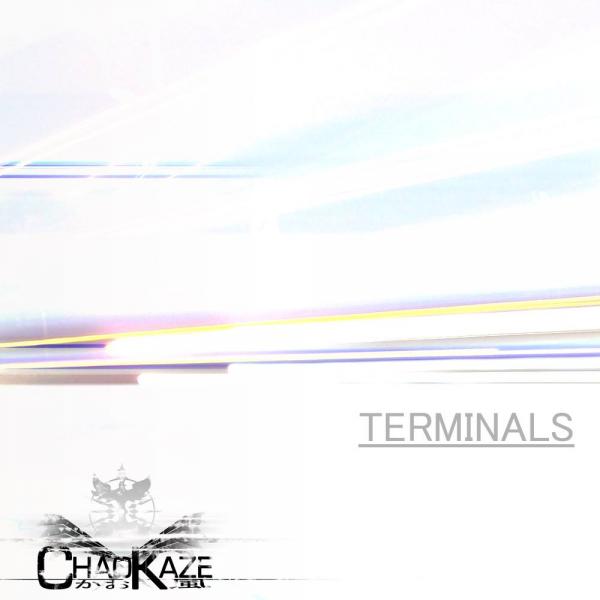 TERMINALS cover.
